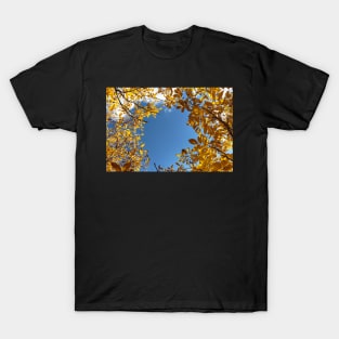 Blue sky surrounded by yellow leaves T-Shirt